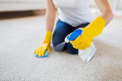 homeowner attempting to remove a pesky stain from an area rug
