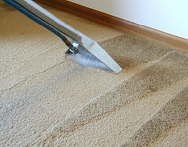 carpet cleaning company servicing a residential home in naples florida