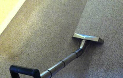 carpet cleaning services removing mold and mildew stains and odor from carpet